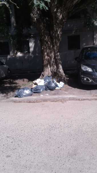 basura 9-5 1