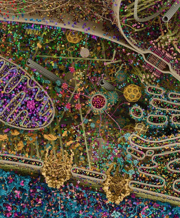 foto obtenida por microscopía electrónica del interior de una célula, renderizada y coloreada.