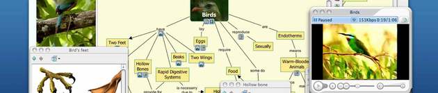 captura de pantalla del programa cmap tools. se observa un mapa mental sobre aves y algunas fotos de aves y sus partes.