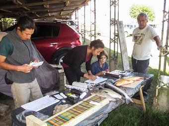 equipo de investigación analizando un pescado