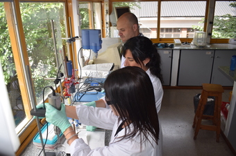 Dr.Javier Lamarra y dos colaboradoras en el laboratorio del CIDCA