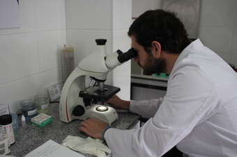 Profesional mirando el microscopio