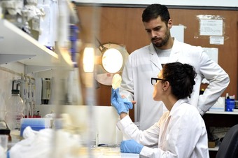 Equipo de investigación del CINDEFI trabajando en el laboratorio