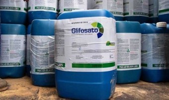 Glifosato