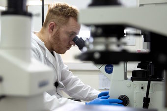 El Dr .Ignacio Leon mirando en un microscopio