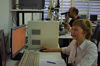 Maria Elena Vela en la computadora del Laboratorio de Nanoscopías y Fisicoquímica de Superficies.