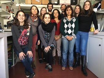 Equipo de investigación del  CINDEFI