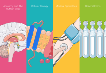 Captura de pantalla de web Servier Medical ART
