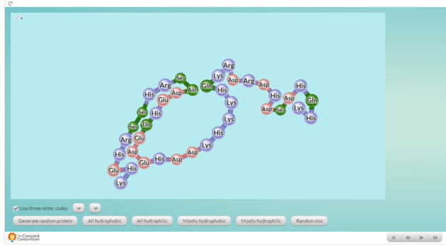 captura de pantalla de simulador de plegamiento de proteínas donde se ve una molécula plegada en un medio acuoso